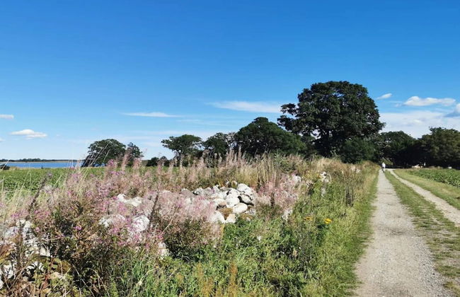 6 Person Holiday Home in Kettinge - Foto 18