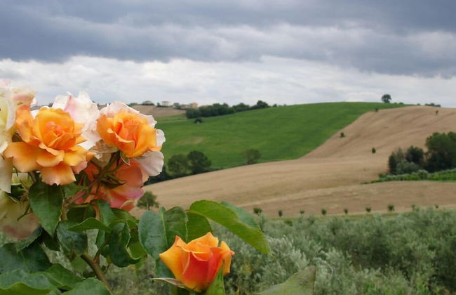 Al Crepuscolo Agriturismo - Foto 48