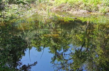 O Refúgio - Foto 70