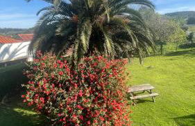 Apartamentos ELROSAL2 - Foto 19