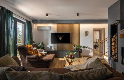 Villa Stella Verde - Wellness Villa with a swimming pool, hot tub and sauna - Foto 42