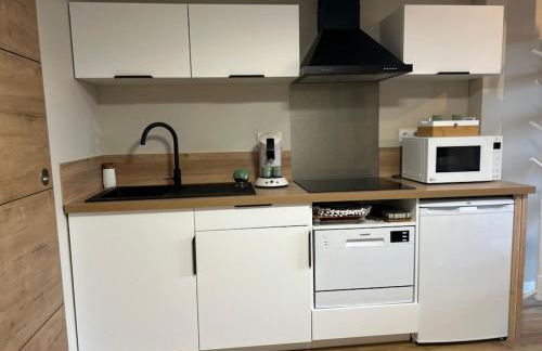 L'arbre de soie Futuroscope Acacia - Foto 42