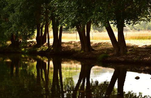 Casa Lagar Da Alagoa - Foto 38