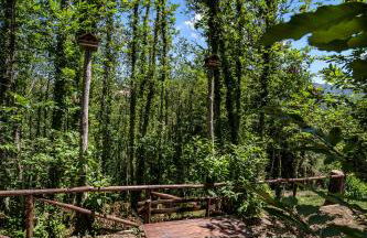 Casa sull'albero Bocchineri - Photo 35