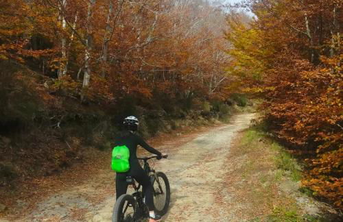 Da Castruccio degli Antelminelli - Foto 17