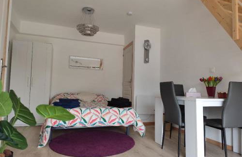 Studio Garden Parking Airport Eurexpo Groupama Stadium - Foto 1