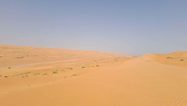 Take in expansive views of the desert landscape