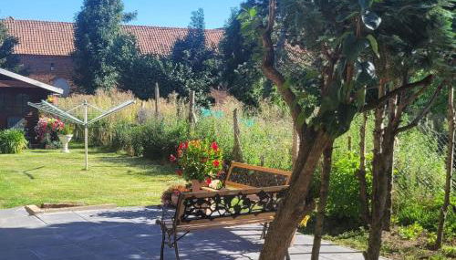 Ap2 80 qm 3 SZ Terrasse bei Oschersleben u Helmstedt - Foto 4, Garden view