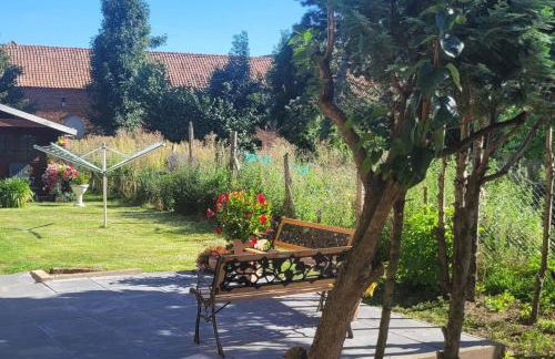 Ap2 80 qm 3 SZ Terrasse bei Oschersleben u Helmstedt - Foto 4