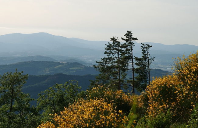 Villa Panorama - Photo 53