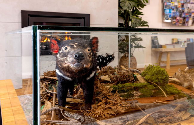 BIG4 Launceston Holiday Park - Foto 9