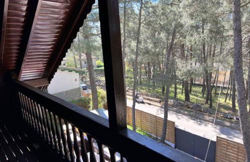 EL BOSQUE ENCANTADO - Photo 28