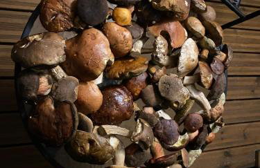 Apartament 9 Nina - Dębina - Foto 43