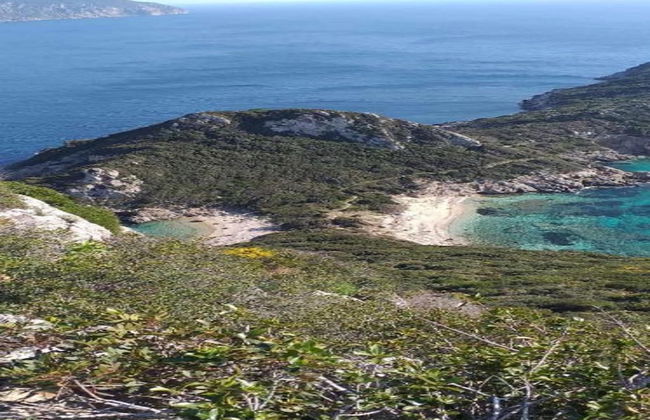 Bohemia Beach House Villa Near North-east Coast - Foto 26