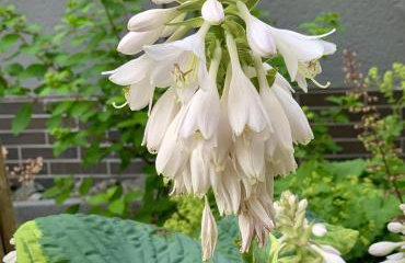 4-Studios - Photo 60