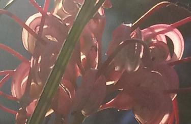 Giaglakis Rooms - Foto 69