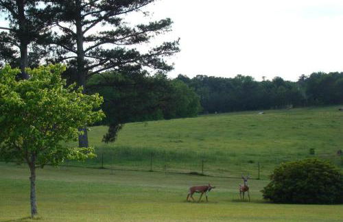 The Chapman House - Foto 29
