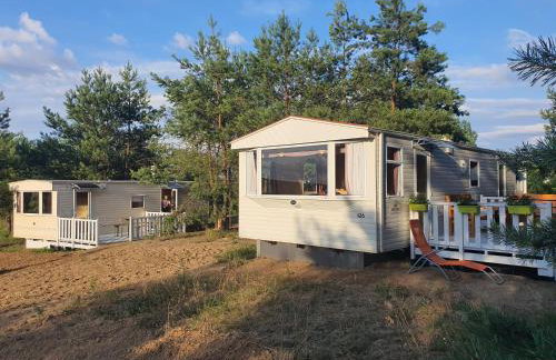 Holenderki na Zielonych Wzgórzach, Łowyń - Foto 13