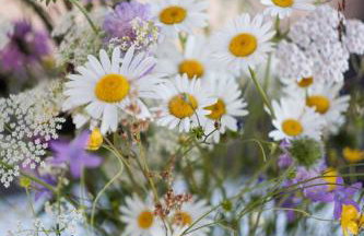 Dom Malowany - Domki - Foto 43