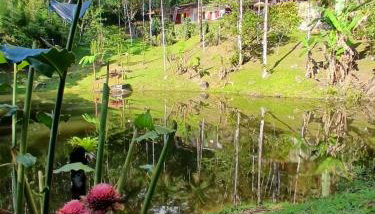 Casa com lago em Ubatuba - Foto 4