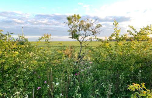 Luxury Pod-Sleeps 2-Hot Tub-Pets-Garden - Foto 11