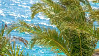 Pahivouni Studios & Suites - Foto 2, Garden, Garden view