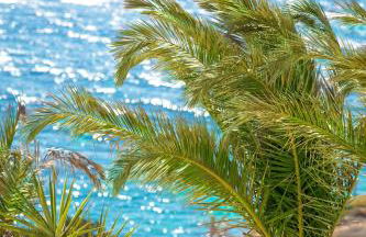 Pahivouni Studios & Suites - Photo 2