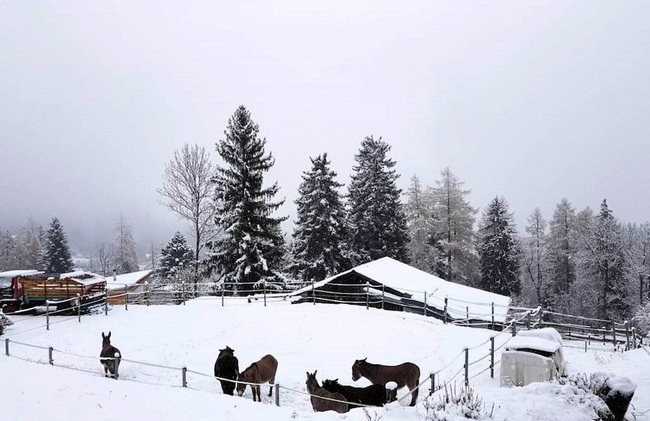 Chalet Verrel Near Aletsch Ski Gondolas - Foto 43