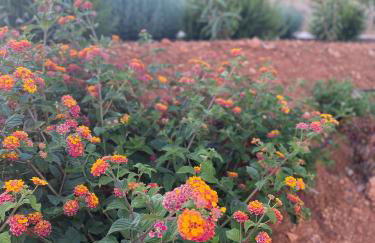 Quinta do Sr. Cabrita - Foto 56