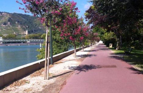 La Bâtie - Terrasse avec Vue imprenable sur le Rhône, 3 chambres, 3 salles de bain - Foto 14