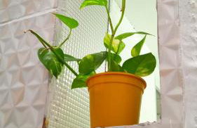 House755 Hospedaria - Foto 37