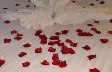 Romantic Cottage with Wood-fired Hot tub and Outdoor Pizza Oven - Foto 15