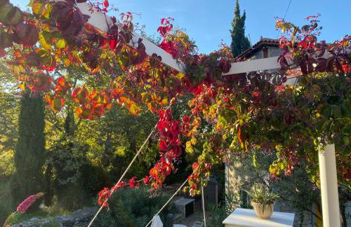 Spiti Galini, "Haus der Zufriedenheit" - Foto 16