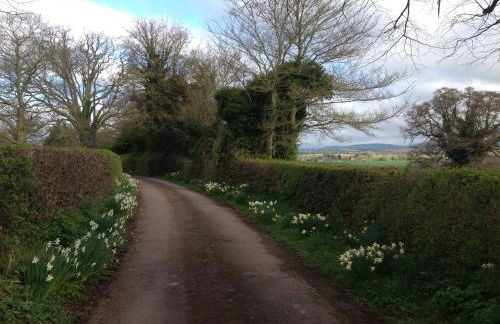 Thatch Close Cottages - Foto 28