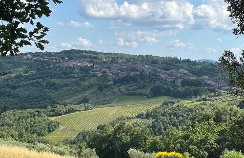 Casa Da Cicia - Foto 24