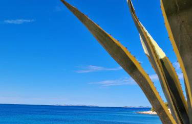 Apartman Kristina - Photo 48