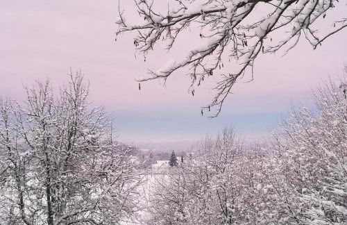 Apartment Green Elephant - Foto 36