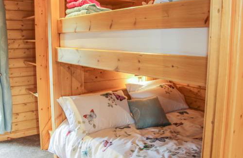 Manor Farm Lodges - Dragon Lodge - Foto 11