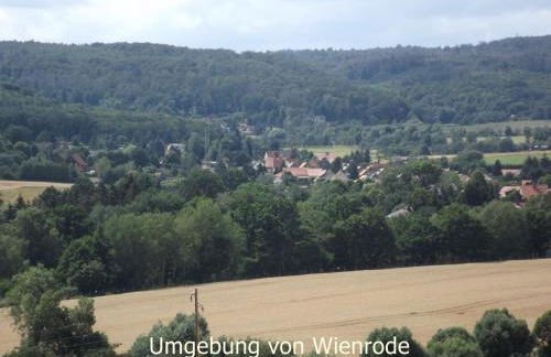 Harzhaus Wienrode Fewo Harzblick - Foto 2