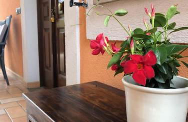 Il giardino delle rose - Foto 10