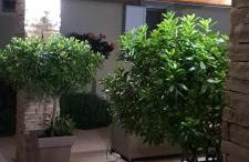 KUĆA U PRIRODI LI - Foto 54