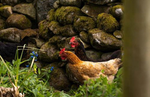 Modern and Stylish WoodHous - Photo 28