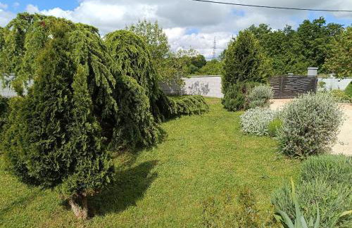 Villa Hilda - Foto 69