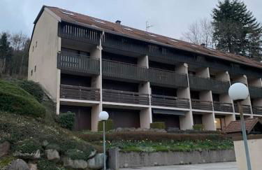 Duplex - Proche de Gérardmer - Foto 22