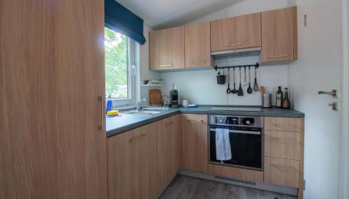 Iguana - Das Tiny Haus am Reptilienzoo Reptilium - Foto 2, stove