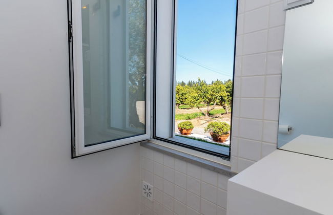 Quinta dos Perfumes - Photo 2