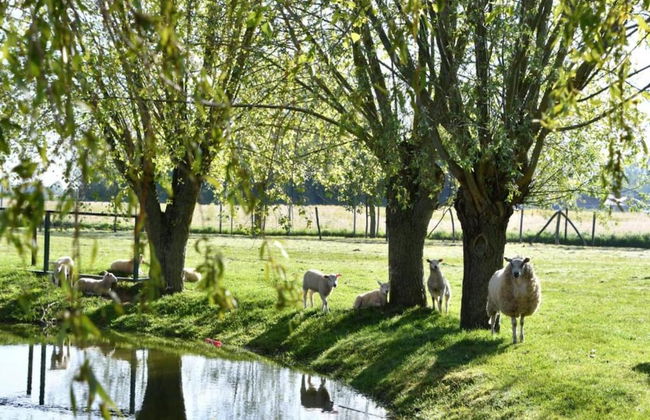 Apartment in Nieuwpoort With Stunning Sea Views - Foto 20