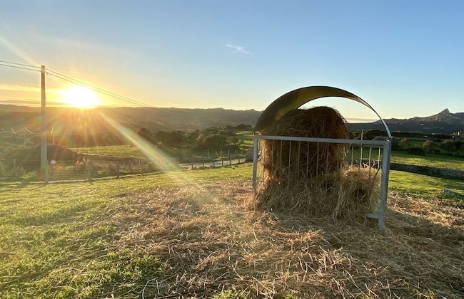 Agriturismo Lu Branu - Photo 49