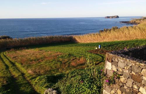 QVA - Quinta Velha das Amoreiras - Photo 36