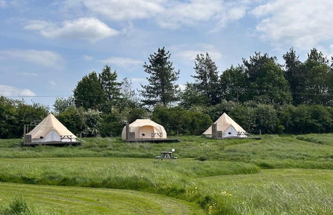 Walltree House Glamping - Cozy Glamping Experience - Foto 1